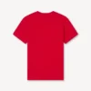 Boke Flower’ Embroidered Slim T-Shirt in Cotton