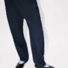 Pleated Tailored Pants in Virgin Wool